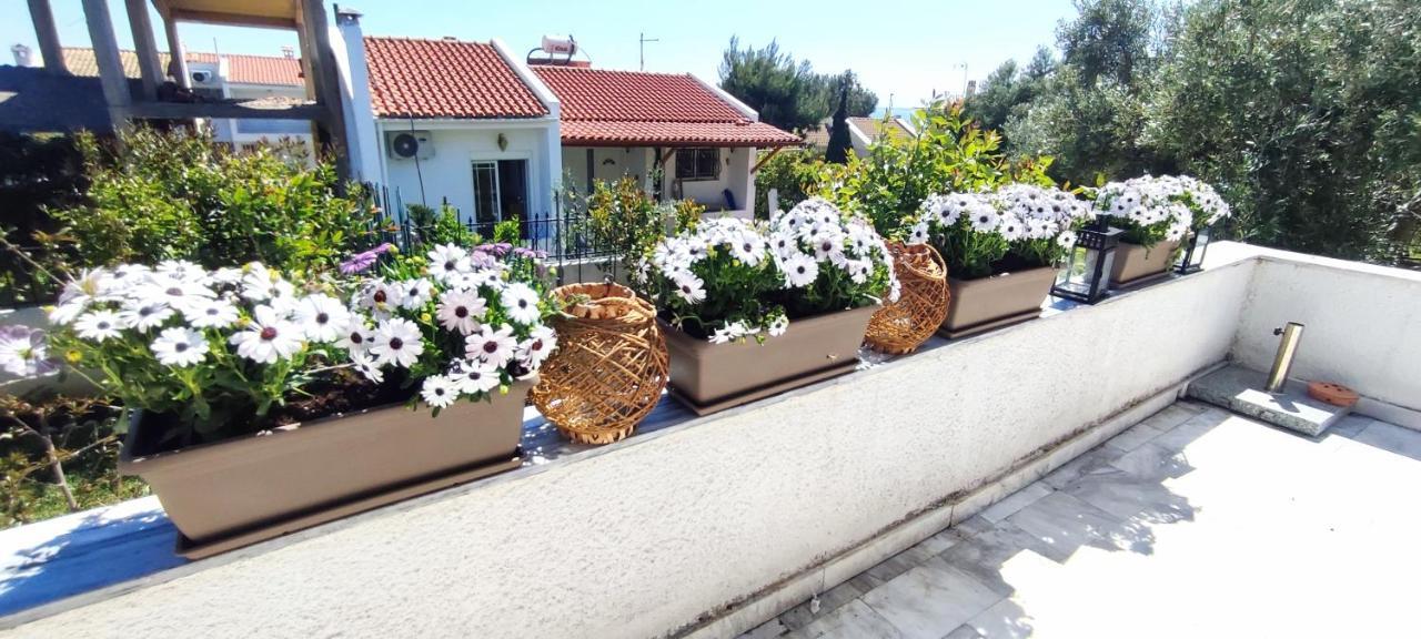 Villa Βianca In Sithonia Gerakini Buitenkant foto
