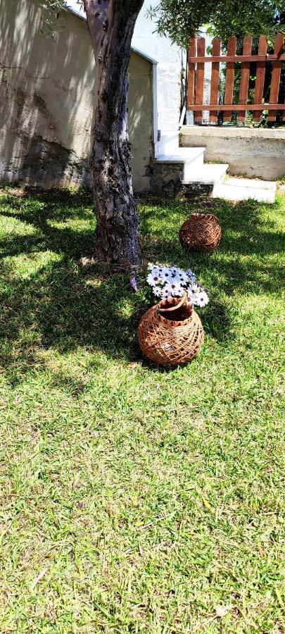 Villa Βianca In Sithonia Gerakini Buitenkant foto