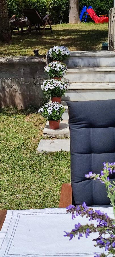 Villa Βianca In Sithonia Gerakini Buitenkant foto